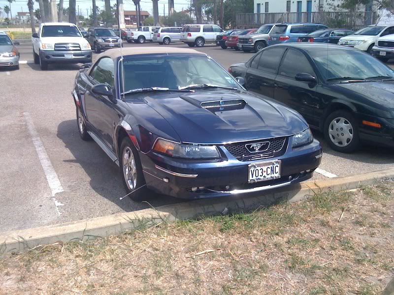 Name:  STANG2.jpg
Views: 21
Size:  154.4 KB