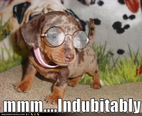 Name:  cute-puppy-loldog-indubitably.jpg
Views: 7
Size:  42.3 KB