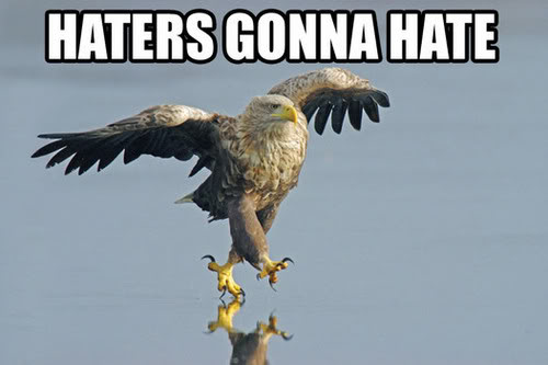 Name:  god-haters-gonna-hate-eagle.jpg
Views: 95
Size:  24.1 KB